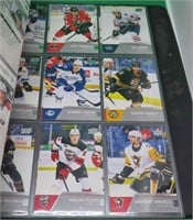 300+ 2021-22 AHL Upper Deck Hockey Cards Guhle