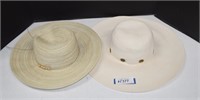 Two Womens Straw Type Hats
