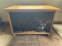 Cat Decorated Box & Books