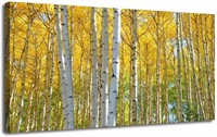 Yellow Birch Forest Canvas Wall Art 48x24inch