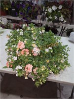 Hanging Flower Basket