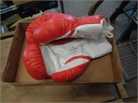 BOXING GLOVES