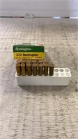 (13) .223 REM Cartridges