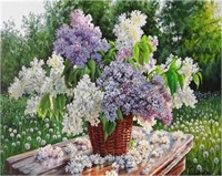 Paint by Numbers Kit  16x20 In  Hydrangea