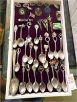 COLLECTOR SPOONS & PINS