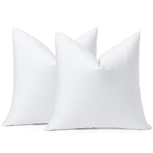 OTOSTAR Pack of 2 Down and Feather Throw Pillow In
