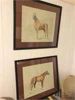 Pair of Framed Horse Drawings