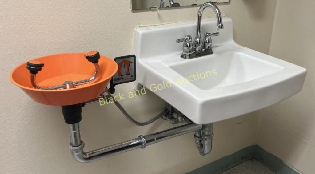 Sink & Eye Wash Station