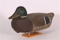Mallard Drake Duck Decoy by Walter Struebing