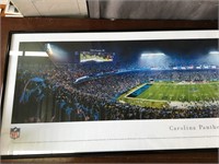 NFL Carolina Panthers Football Field Picture 39x14