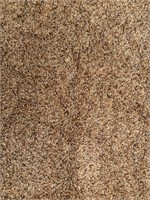 Brown/Tan shag rug