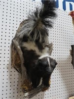 WALL MOUNTED SKUNK