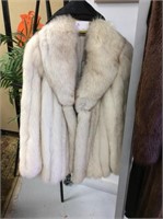 Silver Fox short coat