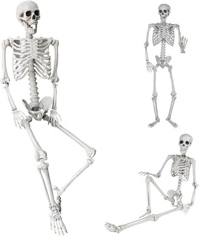 5.4Ft/165cm Halloween Life Size Skeleton Full