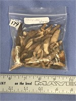 A small bag of fossilized mammal teeth    (k 58)
