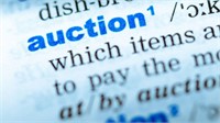 AUCTION TERMS DEFINITIONS
