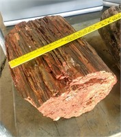 Huge Rare Red/Black Petrified Wood Trunk 105 Lbs.