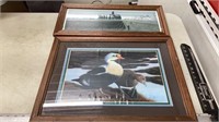 Duck goose prints