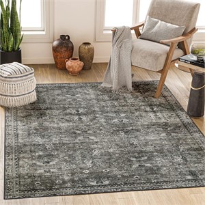 Washable Rug 8x10 - Stain Resistant