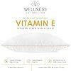 Vitamom E Infused Pillow  (2)