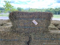 25 2nd Alfalfa Orchard Grass