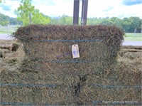 25 2nd Alfalfa Orchard Grass