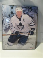 LARGE PICTURE PLAQUE LEFS #13 PLAYER MATS SUNDIN