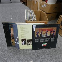 Assorted Vinyl Records in Sleeves