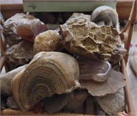 Basket of Agates, Tokada, Polished Small Stones