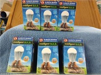 6 Intelligent Bulbs - NIB