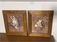 Pair of Owl Pictures