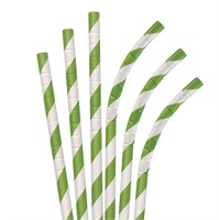 8PK Aardvark Green Stripe Eco Paper Straws  600ct
