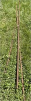 3- Approx, 20ft long Rusted Steel Pipes (One