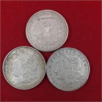 3 -1921 Morgan Dollars