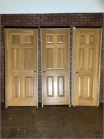 3 - wood framed doors