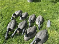 8 Goose Decoys