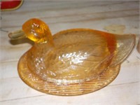 amber duck on nest 8x6"