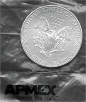 2013 Silver American Eagle - 1 ozt, .999 Pure
