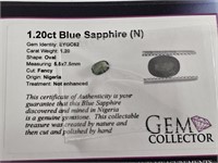 1.20ct Blue Sapphire (N)