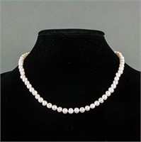 Freshwater Pearl Necklace RV$180