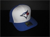New Nike Toronto Blue Jays Dry Fit Cap