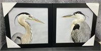 Pair Blue Heron Pictures Framed in Black, Each