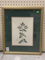 Floral print framed to 19x15