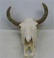 Whitewash Skull with Horns