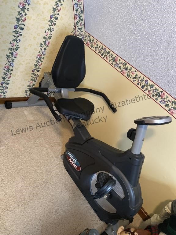 Pro NRG stationary bike