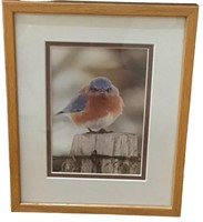 Michael L. Smith  Print "Mad Bluebird "