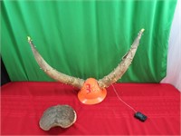 Longhorn Hard Hat, Turtle Shell