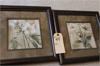 Beautiful flower pictures with brown frame