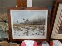 Pheasant print