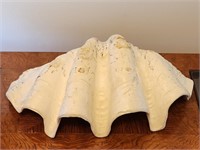 Tridacna gigas Clam Shell